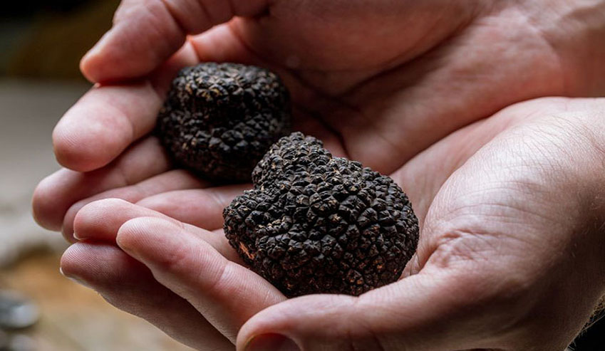 types of truffles